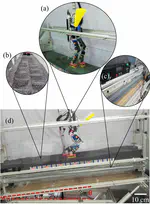Bipedial locomotion up sandy slopes: Systematic experiments using zero moment point methods