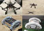 Energy-Efficient Motion Planning for Multi-Modal Hybrid Locomotion