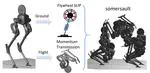 Sequential motion planning for bipedal somersault via flywheel slip and momentum transmission with task space control