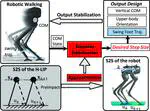 Robust Disturbance Rejection for Robotic Bipedal Walking: System-Level-Synthesis with Step-to-step Dynamics Approximation