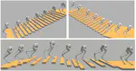 Bipedal Walking on Constrained Footholds: Momentum Regulation via Vertical COM Control