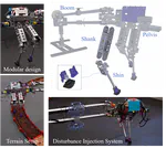 STRIDE: An Open-Source, Low-Cost, and Versatile Bipedal Robot Platform for Research and Education