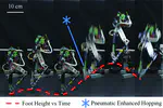 Explosive Legged Robotic Hopping: Energy Accumulation and Power Amplification via Pneumatic Augmentation