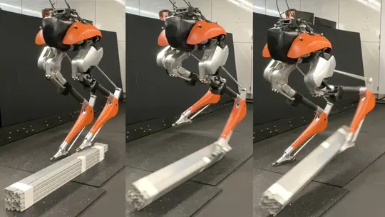 Advanced Robotics, 2024 Fall